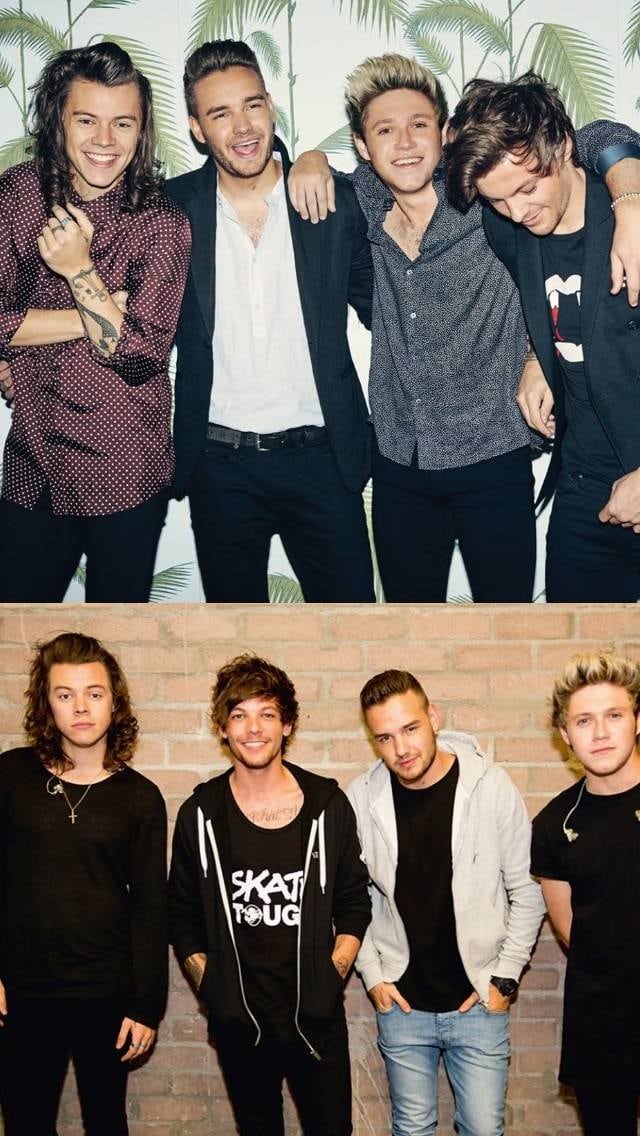 Apenas uma pausa, nada de separação, directioners!