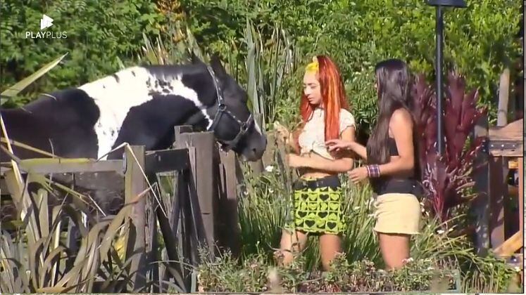 Assim como Pelé, Ruivinha já havia anunciado que tinha medo dos animais. A peoa cuidou da vaca, bezerro, touro, ovelhas, aves e cavalo. Entre o primeiro trabalho rural que a peoa realizou, com as aves, até o último, com o cavalo, sua evolução foi perceptiva. A força de vontade e a coragem para superar os obstáculos aumentavam a cada trato que a peoa fazia.


Sob o comando de Adriane Galisteu, A Fazenda 14 vai ao ar diariamente na tela da Record TV de segunda a sábado, às 22h30; e aos domingos, às 23h. Acesse o PlayPlus e acompanhe 24 horas por dia tudo o que rola no Celeiro de Lendas.

