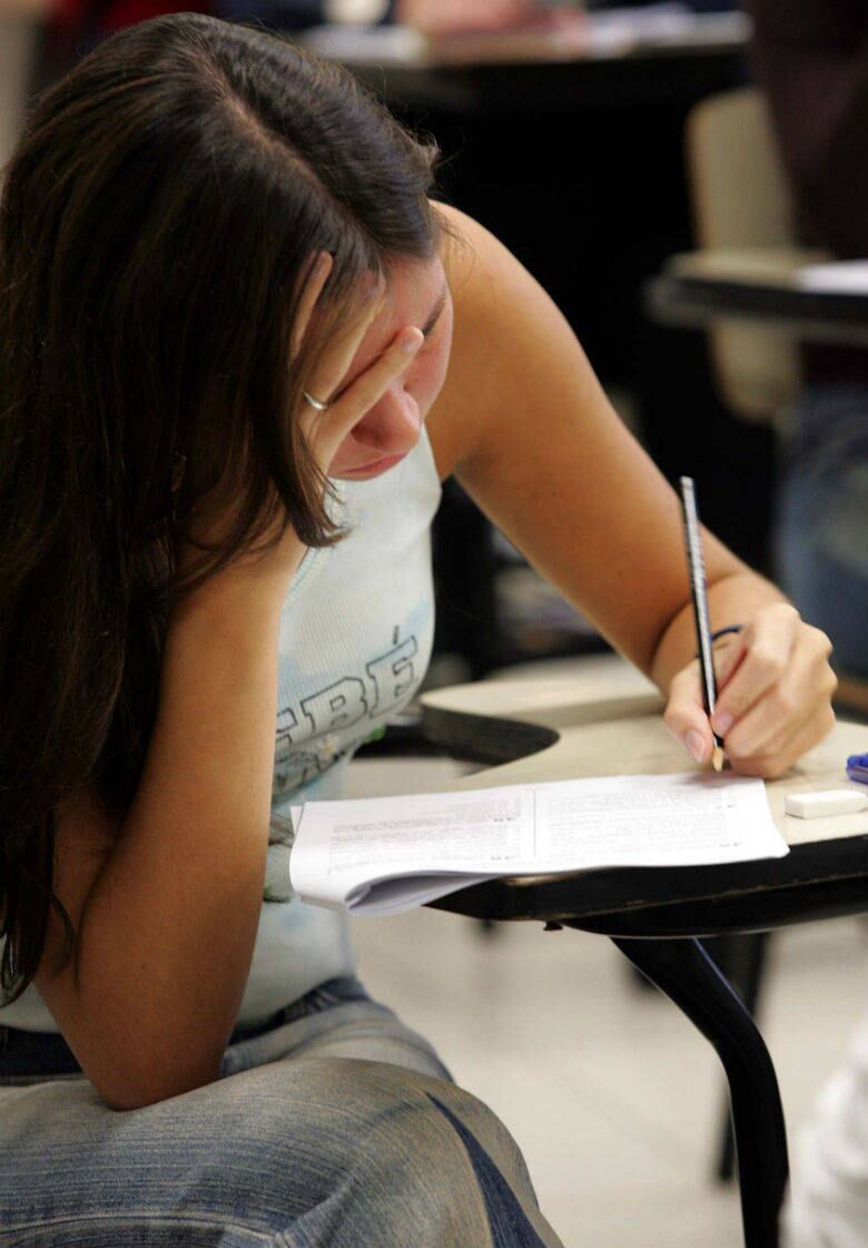 Tente uma bolsa de estudos