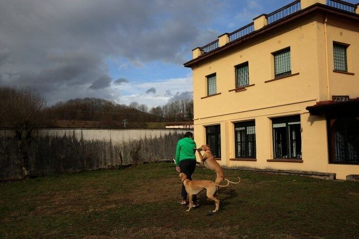 Em esforços para promover bons hábitos, como autocontrole e higiene pessoal, os pacientes fazem carinhos e alimentam seus companheiros peludos, os levam para dar passeios e aproveitam a situação para facilitar conversas com os moradores da região