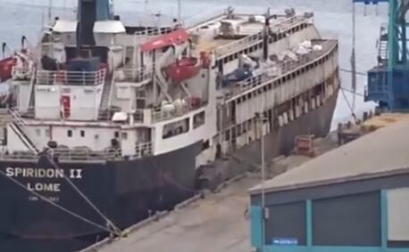 Maioria das vacas eram novilhas prenhas e que cerca de 140 filhotes nasceram durante a travessia