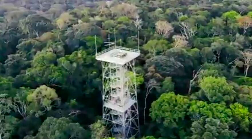 Museu da Amazônia (Manaus): Fundado em 2009, este museu a céu aberto fica na Reserva Florestal Adolpho Ducke. Tem torres para observação da floresta (foto), tendas de exposição e pavilhões com referências a temas indígenas, fauna e flora.