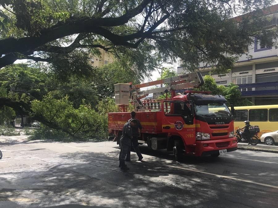 A equipe de Corpo de Bombeiros está no local para a retirada da árvore e a previsão é que o trânsito seja liberado em duas horas 