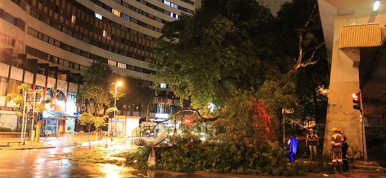 Árvore caiu e derrubou um poste de luz, no fim da noite desta segunda-feira (14), na avenida Nove de Julho, na região central de SP