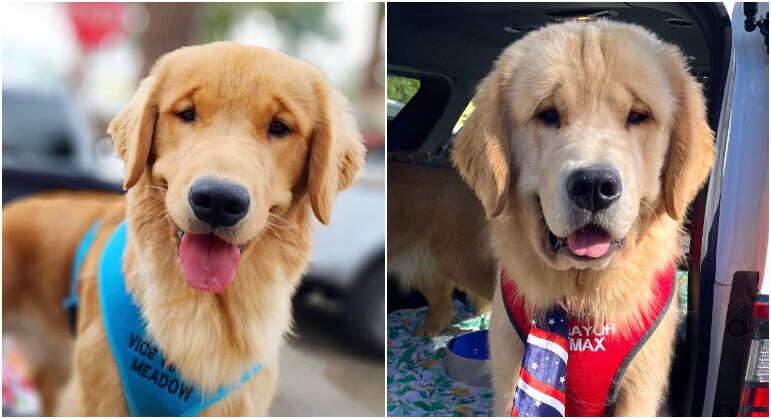 Max III é o prefeito de Idyllwild, na Califórnia, nos Estados Unidos