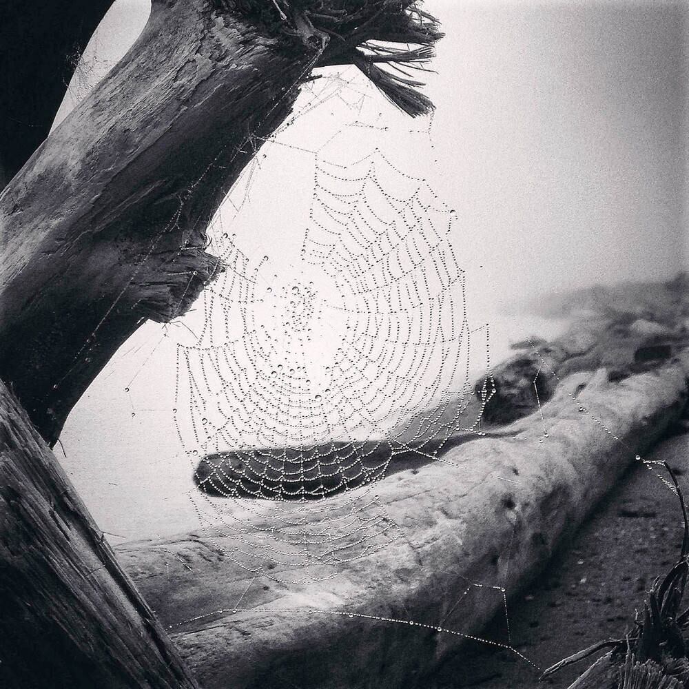 Com esta bela fotografia, Yvonne Naughton levou o primeiro lugar na categoria Natureza