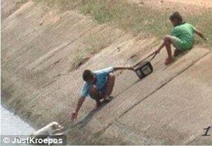 Solidariedade em relação ao mortos no acidente com o avião da Chapecoense. A mobilização de centenas nos resgates de terremotos e furacões. Tudo isso e muito mais gestos que fazem a humanidade continuar de pé até hoje mostram apenas uma coisa. Fazer o bem faz bem


Conheça o R7 Play e assista a todos os programas da Record
na íntegra!

