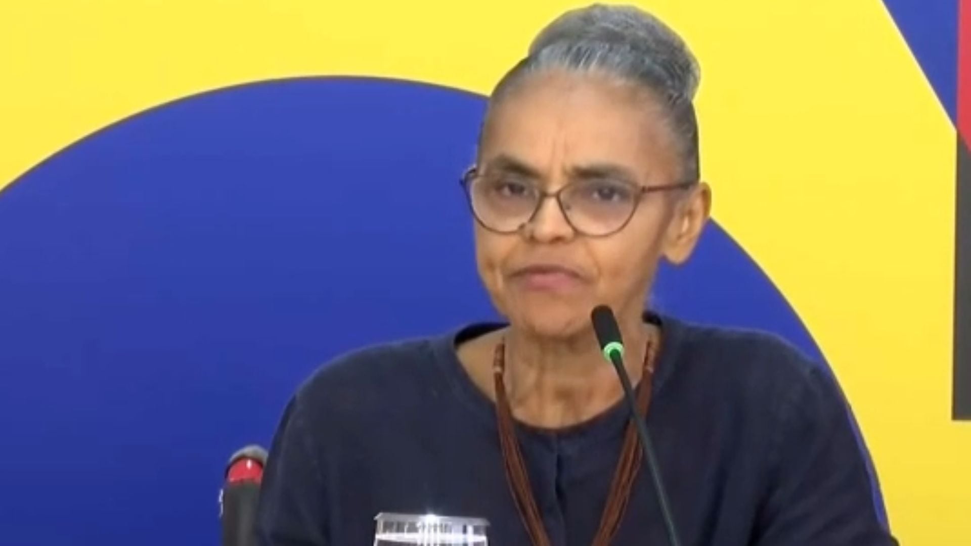 Ministra, com cabelos grisalhos, óculos, camisa azul e colar marrom, fala em frente a um microfone e um fundo com as cores azul e amarelo da bandeira