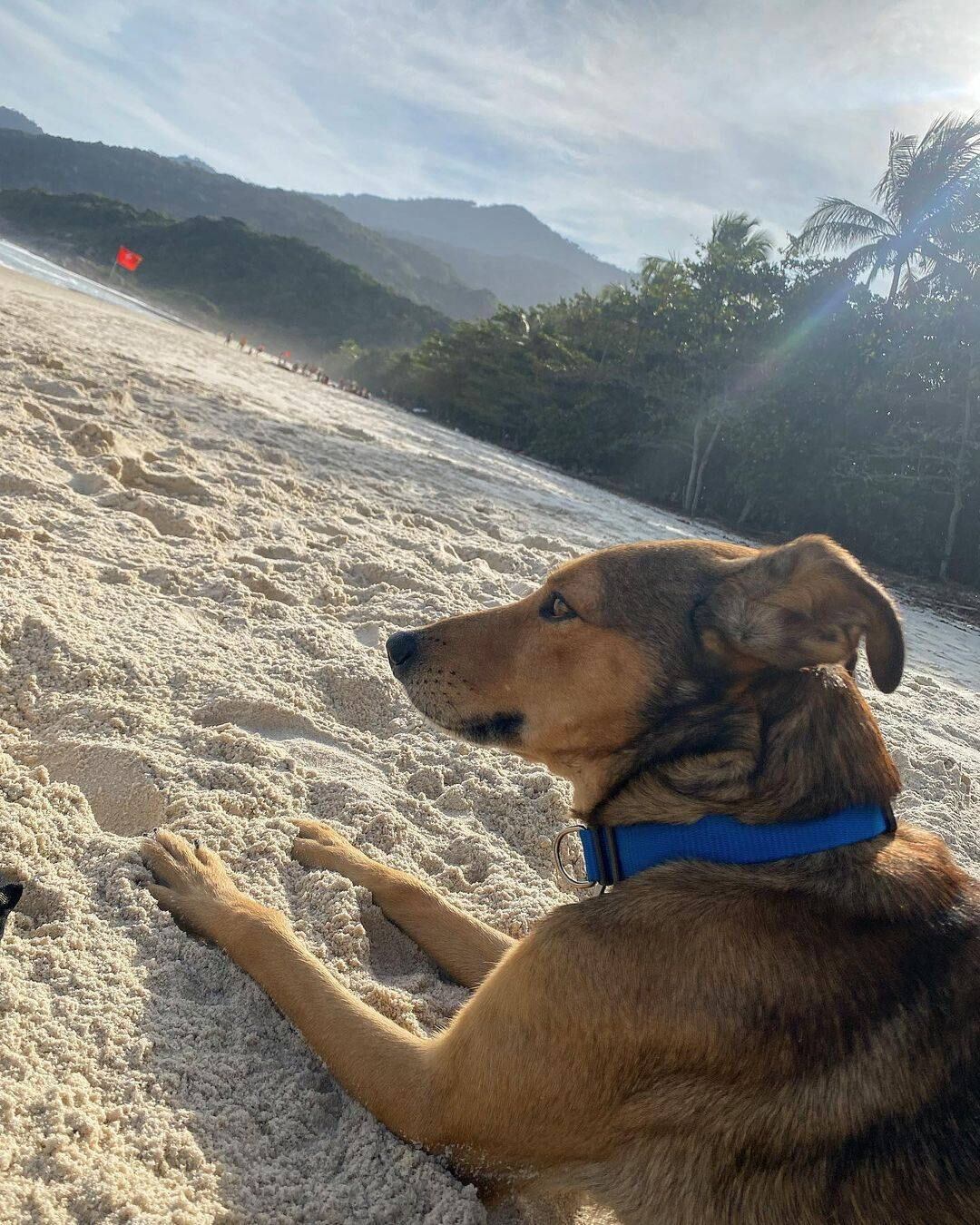 Como todo trabalhador, o agente também precisa de suas férias merecidas, e, aqui, curte uma praia carioca