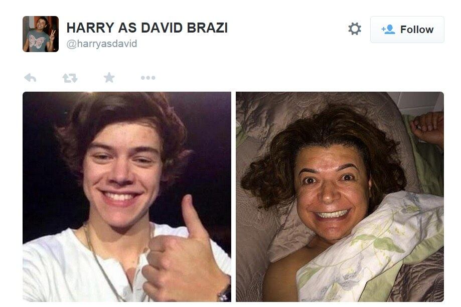 Não dá para negar que David e Harry compartilham algumas qualidades como o carisma, bom humor e a simpatia com os fãs. No perfil @harryasdavid você pode ver outras montagens hilárias!