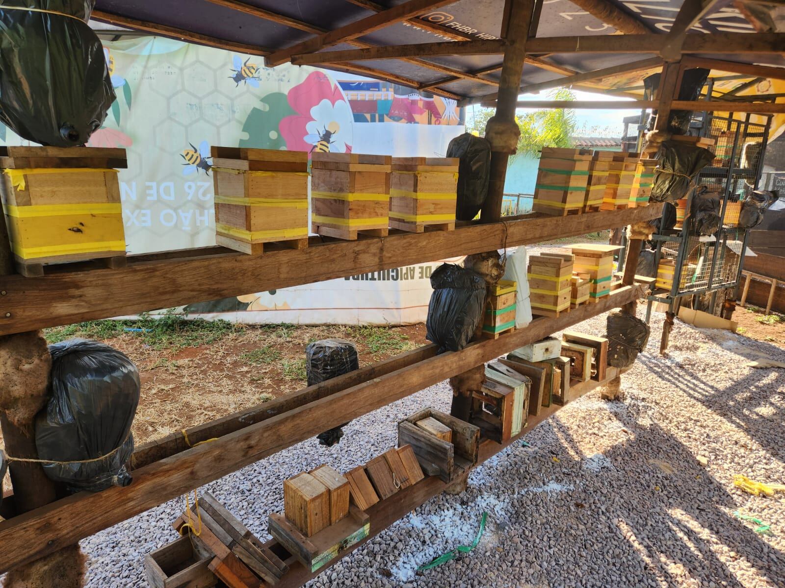 Diversas espécies de abelhas usadas para pesquisa foram furtadas