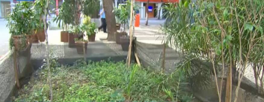 Jardim é solução para evitar alagamento na rua
