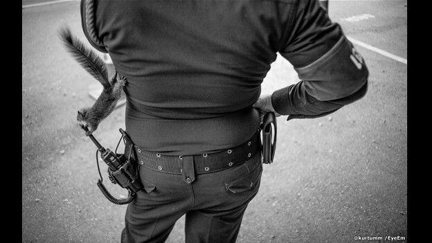 'Há meditações gráficas, momentos
sentimentais e até algumas instantâneas humorísticas', disse Axline. Na
categoria 'Fotografia de rua', Nattawoot Peanpunyaruk captou esse
esquilo procurando queijo