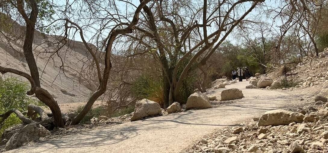 Equipe chega na região conhecida como Ein Gedi