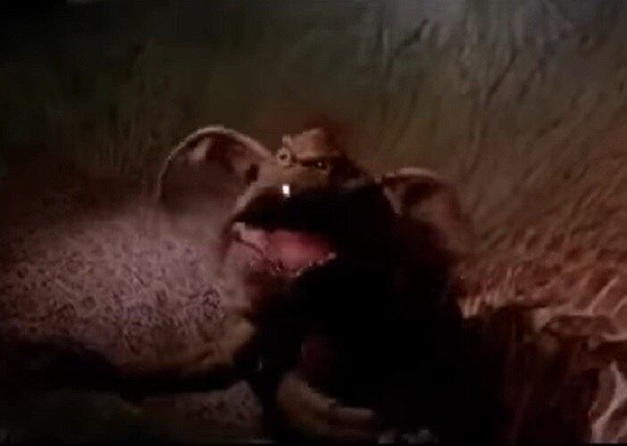 Nome do personagem: Salacious B Crumb - Filme: O Retorno de Jedi (1983) - Alien meio macaco-meio lagarto que servia como bobo da corte no Palácio de Jabba, sempre rindo do sofrimento dos outros nas mãos do gangster Hutt.
