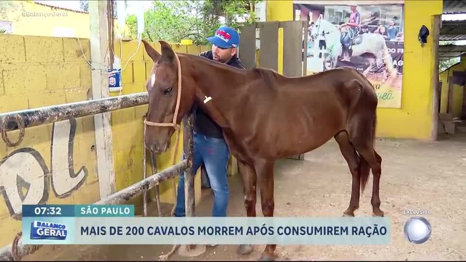 Ministério da Agricultura suspende atividades de fabricante de ração após mortes de 222 cavalos