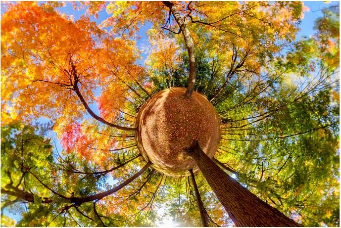 — A Terra gira a uma velocidade de 1,675 km/h. Sabendo disso, eu posso posicionar as minhas quatro câmeras de uma maneira que consigo captar o universo em movimento