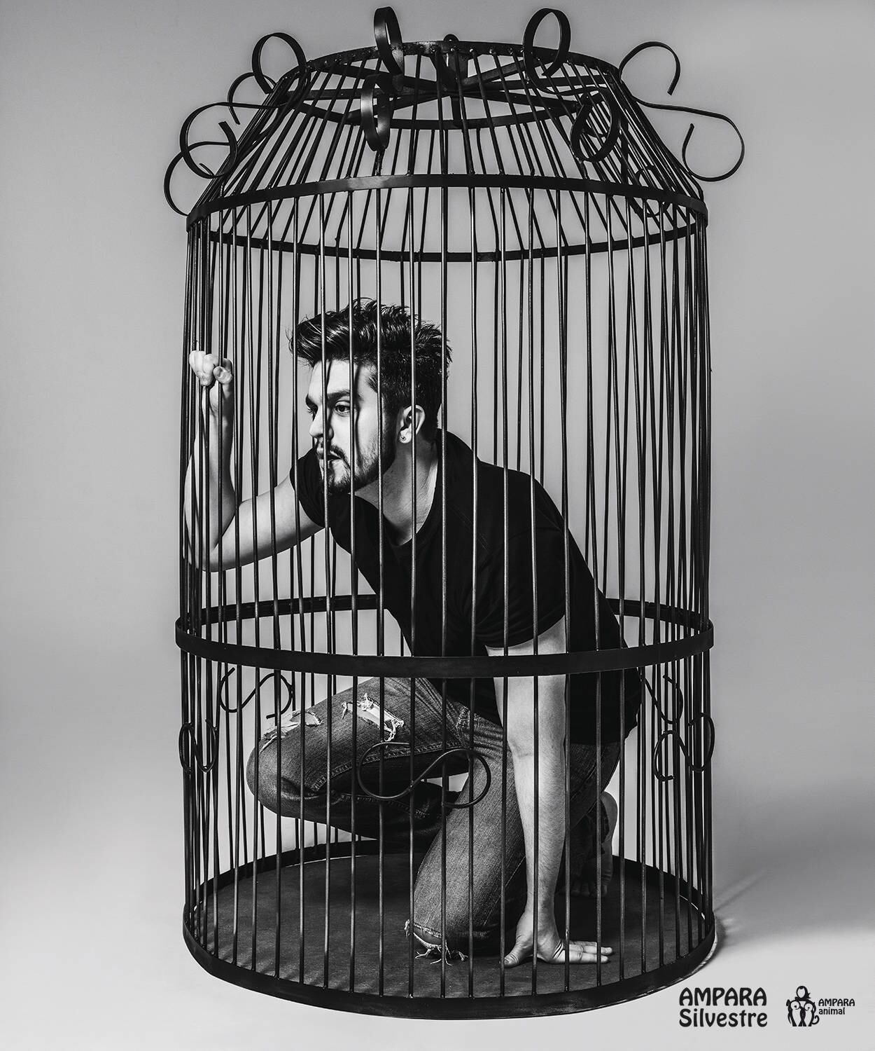 Animais engaiolados, por Luan Santana