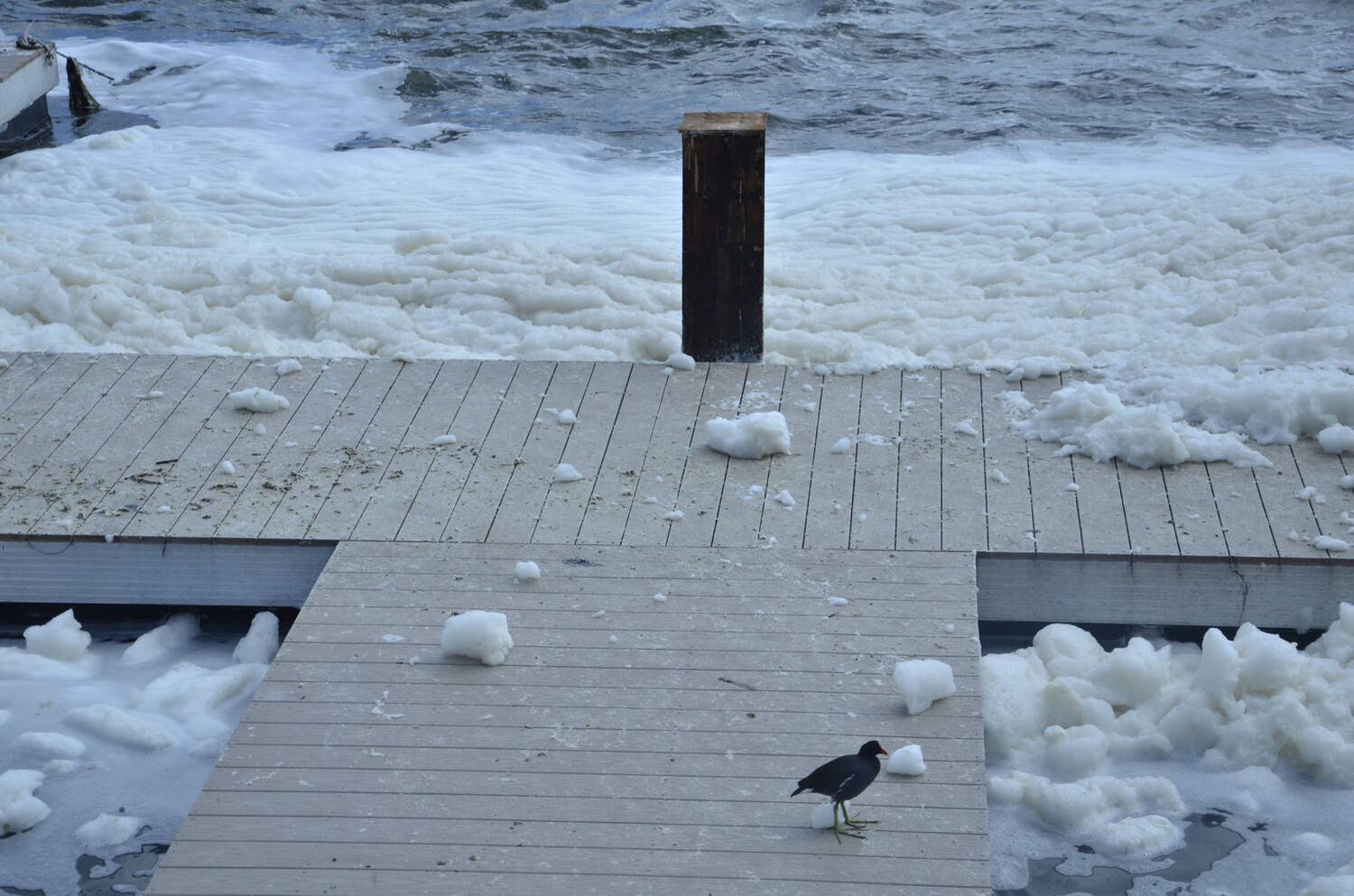Uma densa espuma apareceu na Lagoa Rodrigo de Freitas nesta sexta-feira (7). Segundo a Secretaria Municipal do Meio Ambiente, a produção da espuma é causada pela presença de uma espécie de fitoplâncton