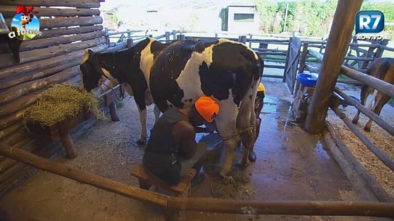 As peoas deram um grito e também risadas com aquela cena 

+ Babi ou Pepê e Neném: Quem você quer que continue? Vote!

+ Depois de um verdadeiro baile das vacas, Pepê e Neném disparam: "Hoje não hein!"

+ Mais uma vez na Roça, Babi Rossi toma banho durante a tarde

+ DH define música de Helô: “Tá doida, é? Tá louca, é?”

+ Helô comenta comportamento ex-participantes com Babi: “Ficaram babando seu ovo”

