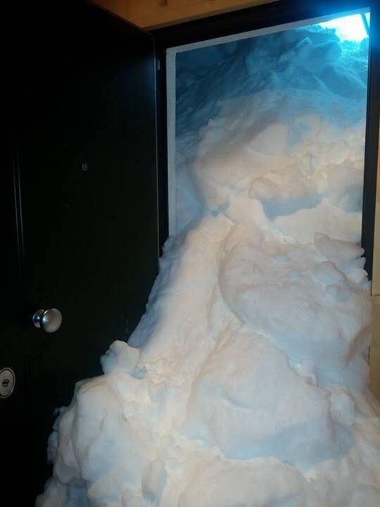 — Quem mandou abrir a porta? Parece que nunca morou no Alaska!