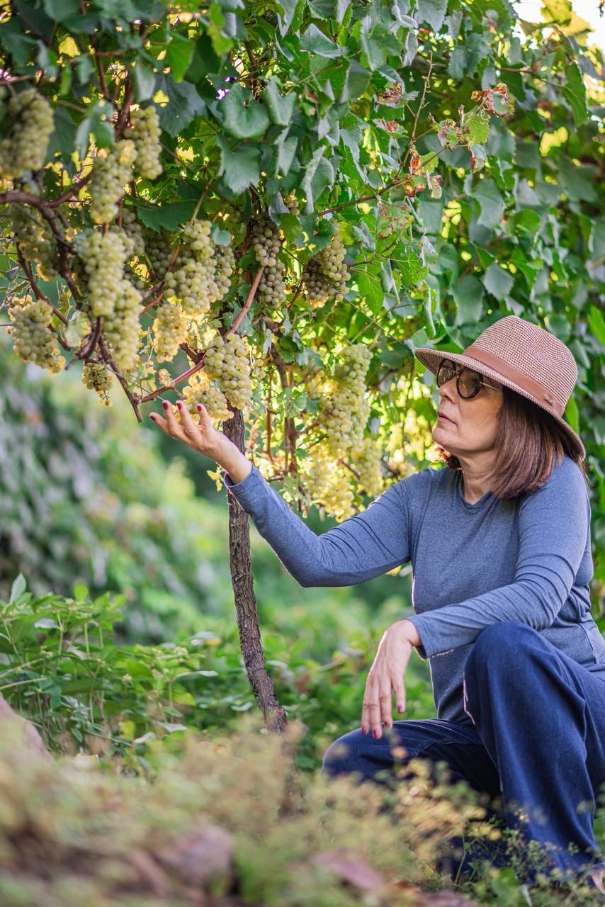 Cristiana Petriz, CEO da vinícola gaúcha La Grande Bellezza