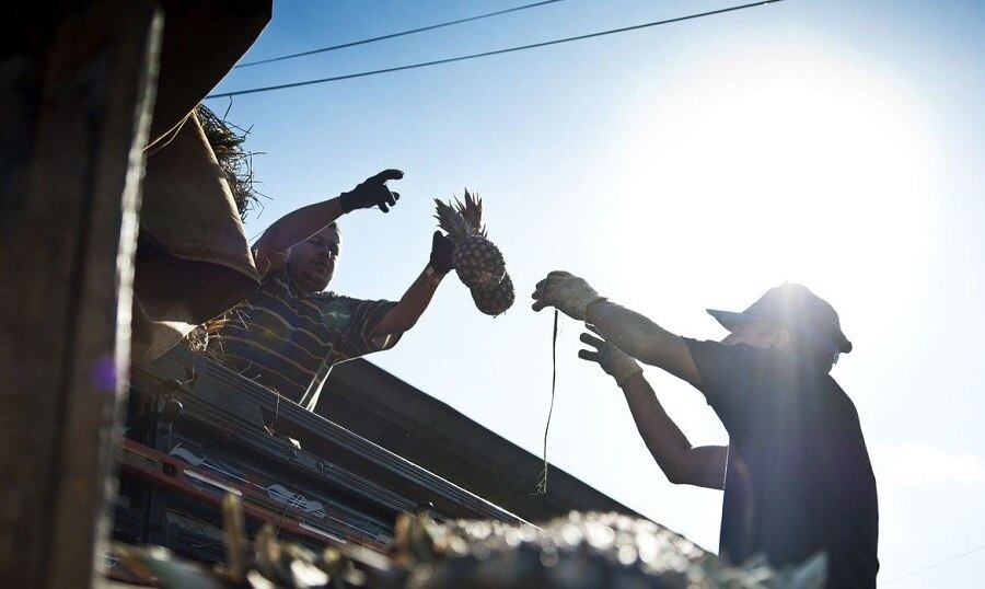 Iniciativa conta com o apoio dos comerciantes que operam dentro do entreposto