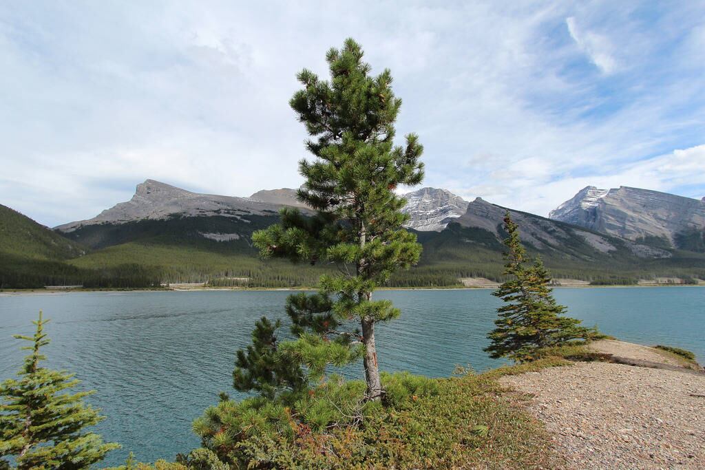 Os biólogos acreditam que as mudanças foram tão profundas que um novo ecossistema será criado nos lagos, com poucas chances de mudança no futuro