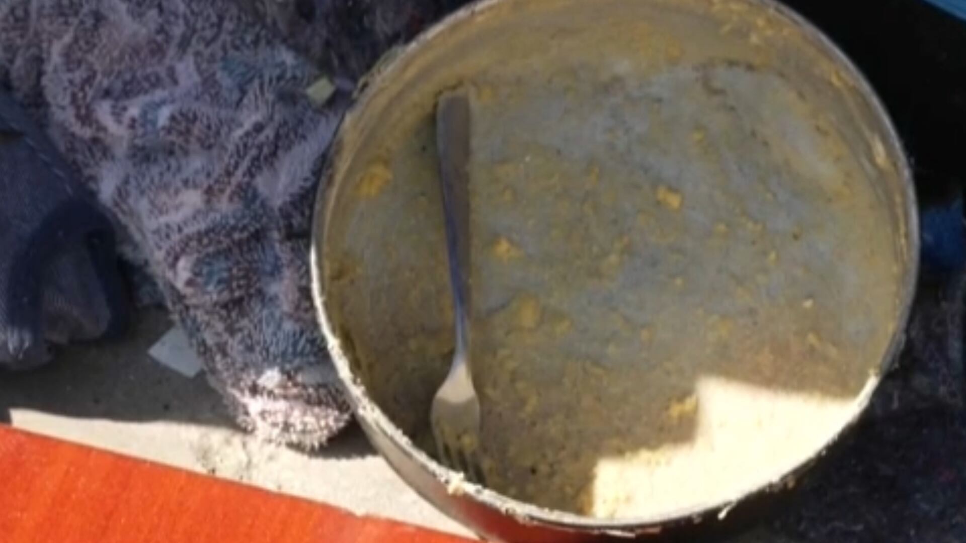 José Graziano: geração de emprego e aumento do salário mínimo tiraram o Brasil do Mapa da Fome