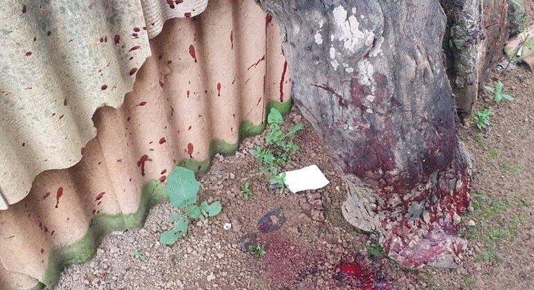 Centenas de galos foram encontrados em uma chácara em Brazlândia