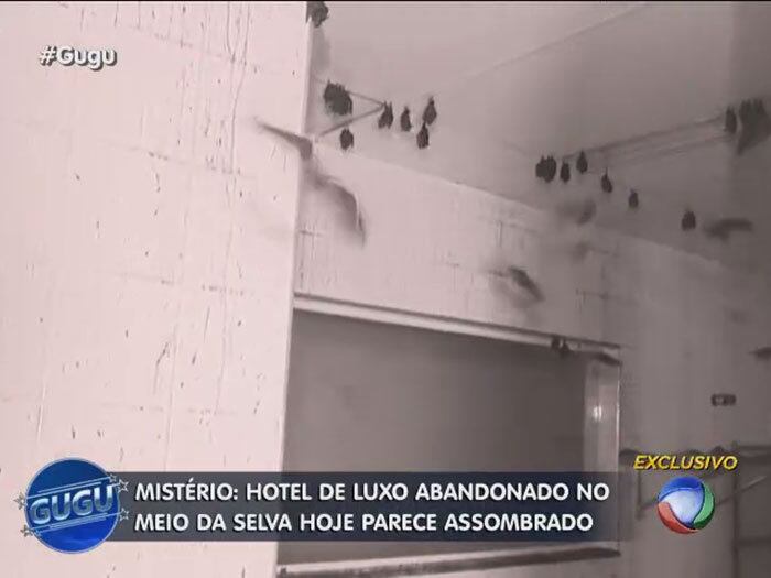 A cozinha, com fornos sofisticados, está tomada de animais e todo material presente no local está se desgastando 

+ Quer assistir às íntegras do programa Gugu? Acesse R7 Play e veja quando e onde quiser!