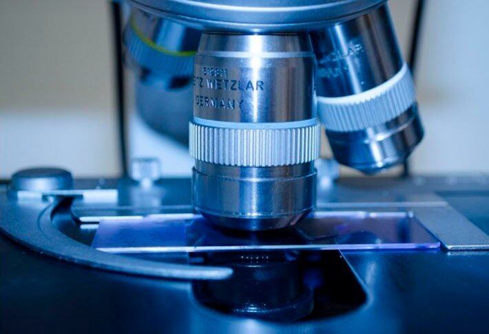 Diante de questionamentos sobre o risco que um robô desse tipo poderia representar, os cientistas garantem que eles são inofensivos.