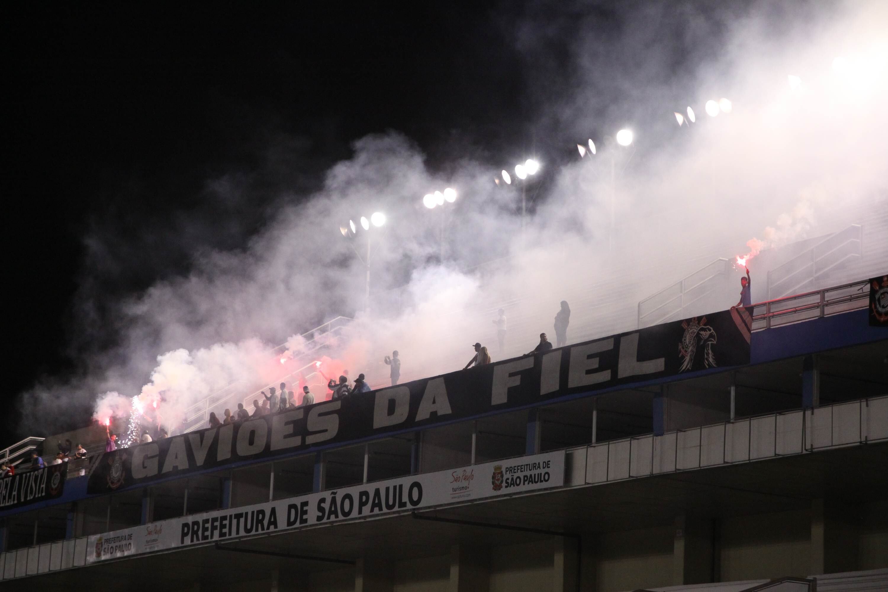 A torcida compareceu ao Anhembi para apoiar a escola de samba