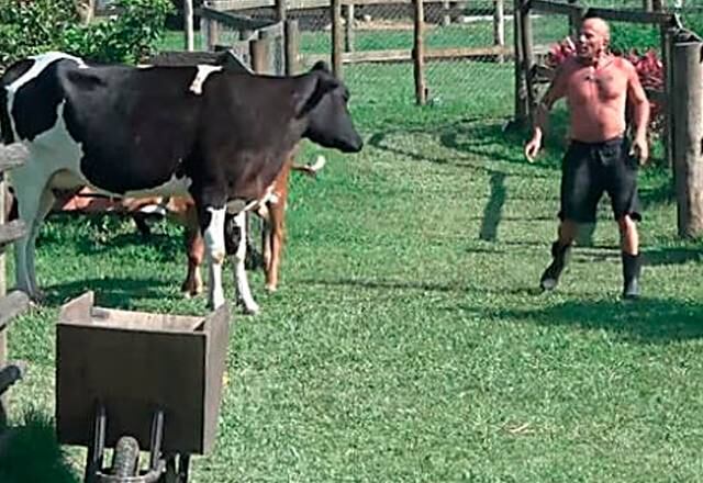 Amizade inabalável

A relação entre Rafael Ilha e a vaca Mimosa foi linda! Durante o confinamento de A Fazenda 10, o ex-peão fazia questão de conversar todos os dias com o animal. Mas, por outro lado, ele também já levou coice dela. Seria uma relação de amor e ódio?
