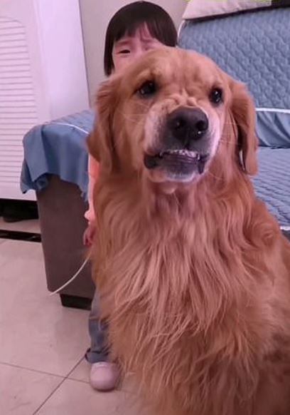 Harry não desiste, como se estivesse alertando para parar com aquela situação