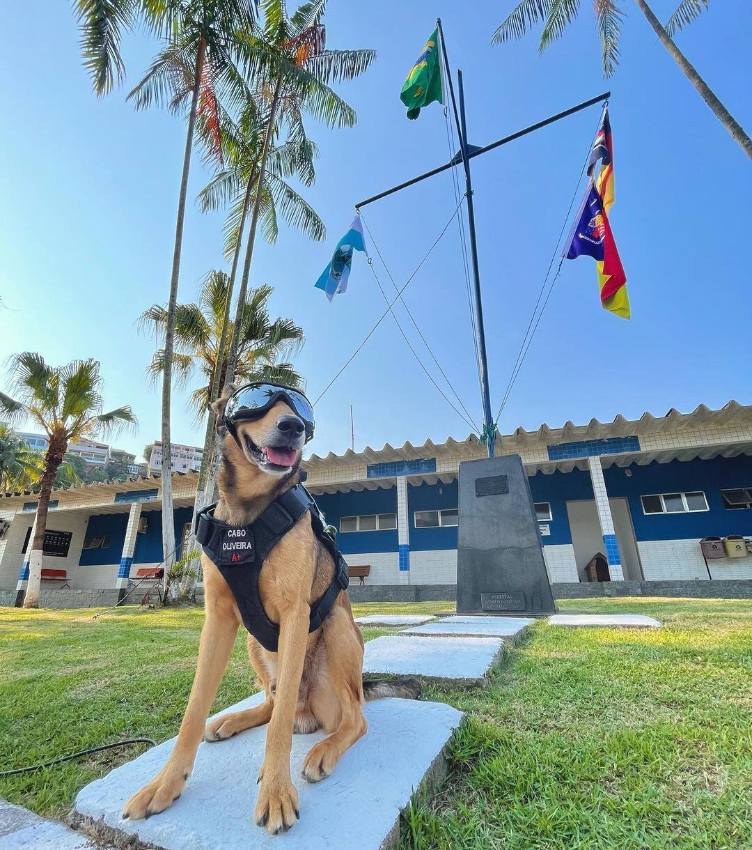 Quando não está realizando suas atividades, Oliveira gosta de posar para fotos e levar conteúdo aos seus fãs