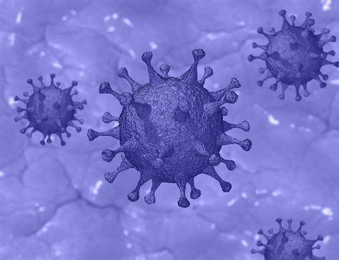 Três meses após o seu aparecimento na China, o novo coronavírus ainda apresenta muitas incógnitas