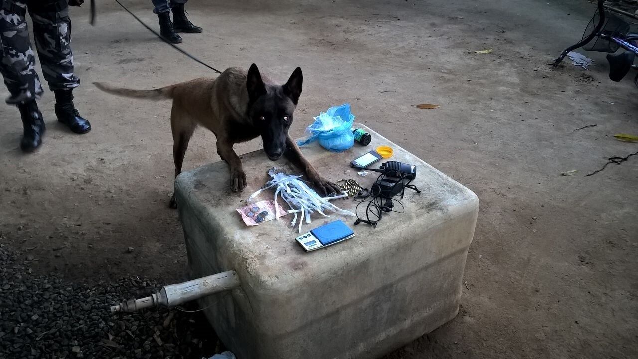 No local, alvo dos mandados de busca e apreensão, os policiais encontraram drogas, arma e munição de diversos calibres
