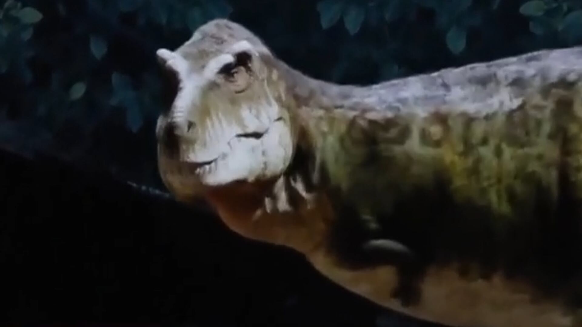 Exposição imersiva em Londres permite que público caminhe entre dinossauros