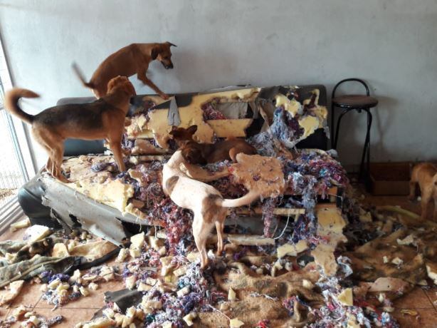 “Só Deus sabe quantas horas de trabalho”
