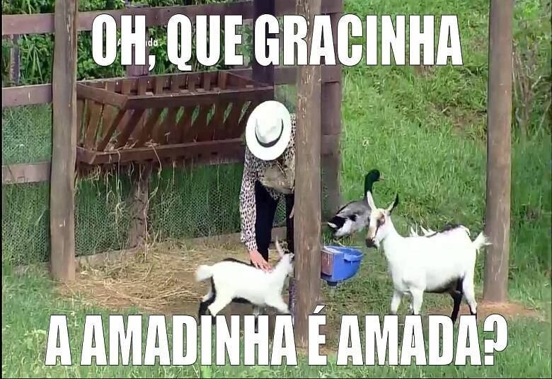 Amadinha ganhou um carinho e atenção especial da socialite

+ Narcisa entrega a carta de Li Martins e comove os peões durante a leitura feita por JP
+ Confira tudo o que rolou ontem (6) na Festa A Magia do Circo
+ Tribunal de A Fazenda esquenta a noite deste sábado no reality. Veja quem foi considerado culpado
+ Mara agradece JP: "Obrigada por tudo o que você já fez"
+ JP diz que dá conselho para a mãe quando ela sai de balada: "Beija na boca"
+ Sem beijar em A Fazenda, Douglas Sampaio afirma que está com "teia de aranha" na língua

