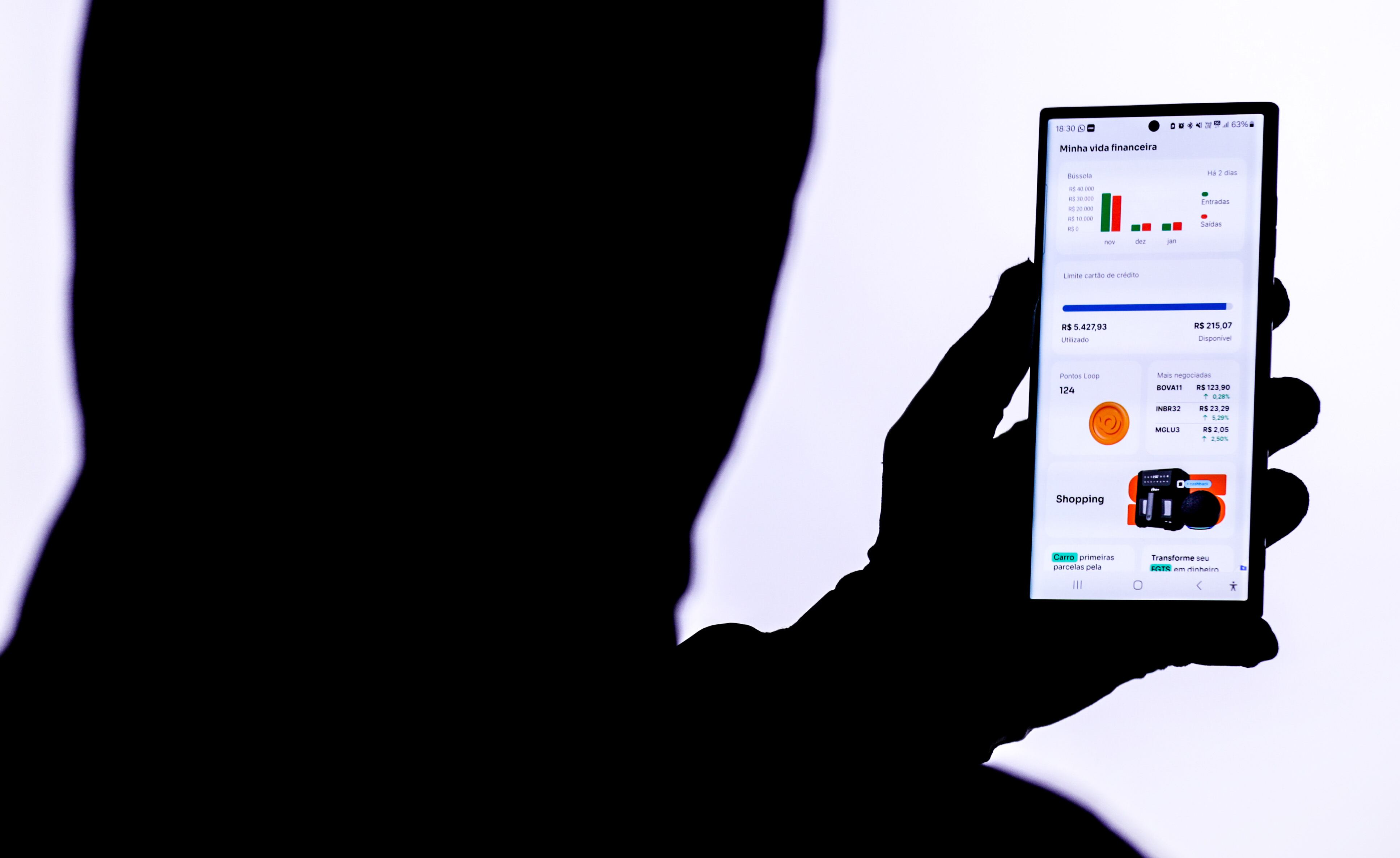 Brasília/DF, 19/01/2024, Golpes feitos pelo telefone celular. Foto: Joedson Alves/Agência Brasil