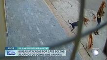 Idosa de 71 anos é cercada e atacada por sete cachorros em Sorocaba (SP)
