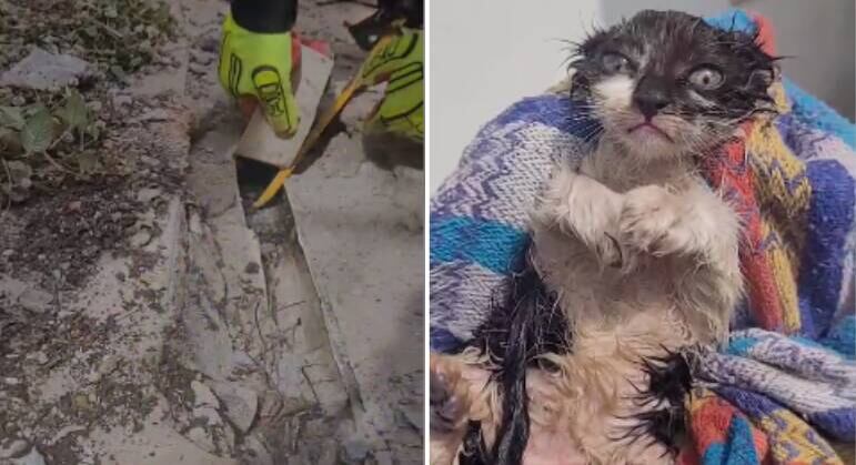 Gatinho é socorrido de tubulação