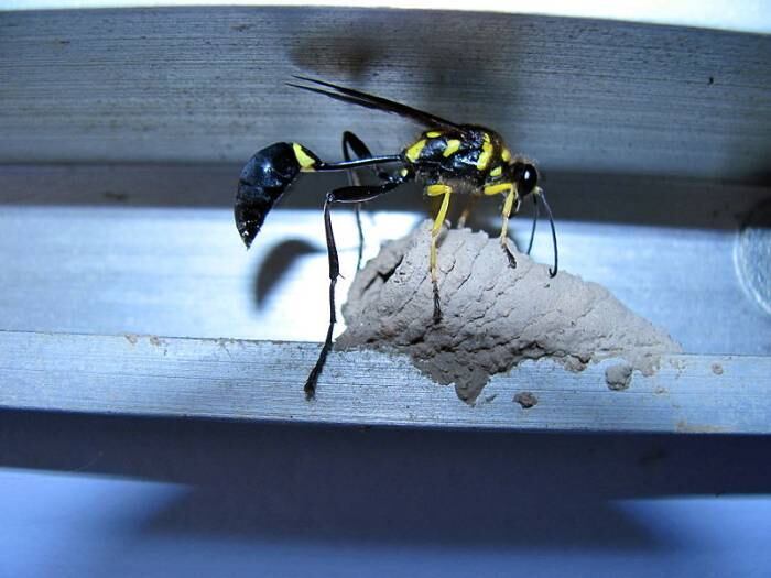 Pesquisadores descobriram substância que combate somente as células cancerígenas, e mantêm as saudáveis intactas (imagem meramente ilustrativa)