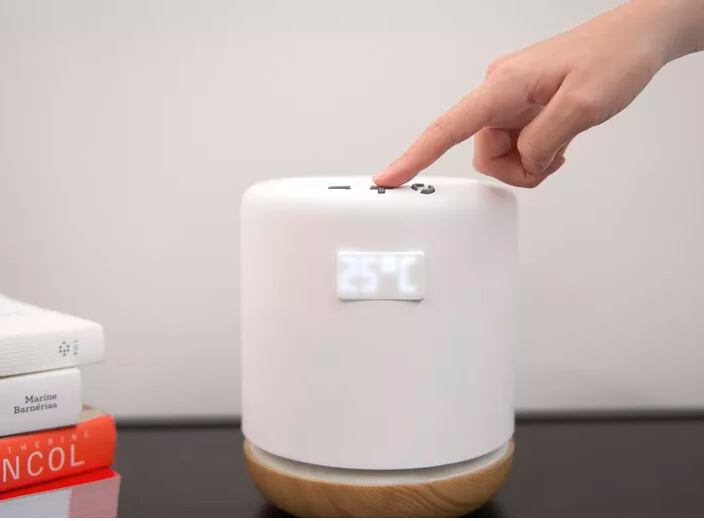 CES 2019 CASA DO FUTURO 