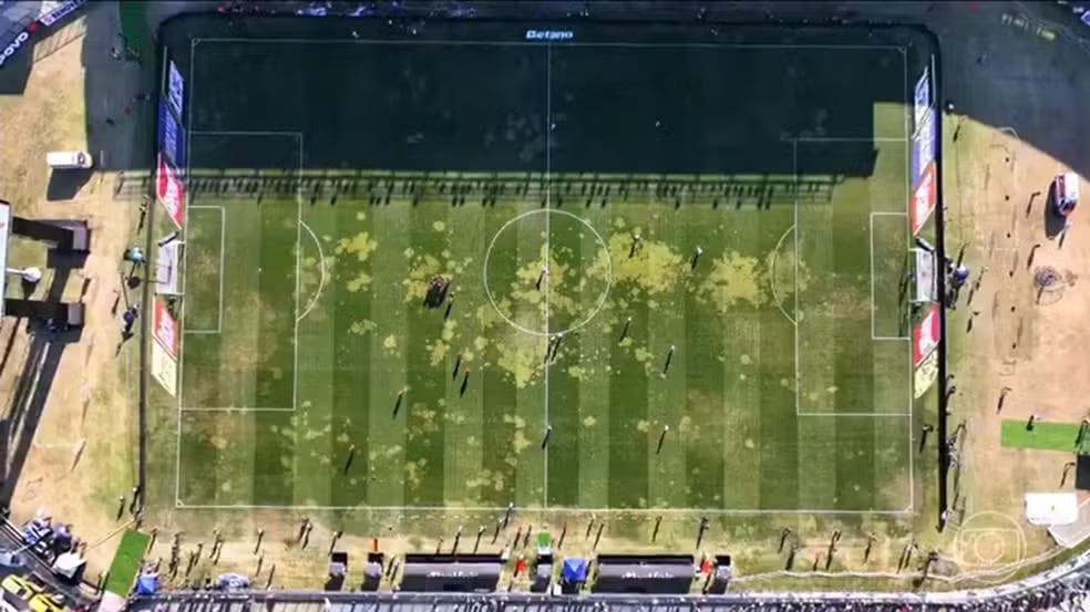 Técnicos identificaram que a origem está em uma mutação em uma das três camadas de grama