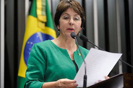"É um negócio extremamente novo", comentou a senadora Ana Rita