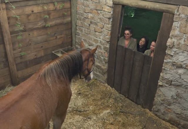 Tamanha beleza do cavalo Lyon chama a atenção dos peões o tempo todo na sede. Em um desses momentos, Luiza, Mirella e Victória apreciaram a perfeição do animal que já estava pegando no sono naquele momento e comentaram entre si a "fofura" que era o equino 

Acompanhe A Fazenda 12! O reality vai ao ar de segunda a sexta-feira logo após a novela Jesus; aos sábados, depois do Cidade Alerta e, aos domingos, após o Domingo Espetacular!
