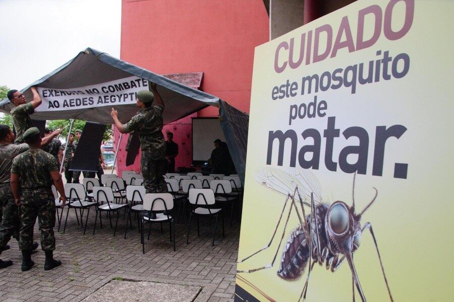 aedes
